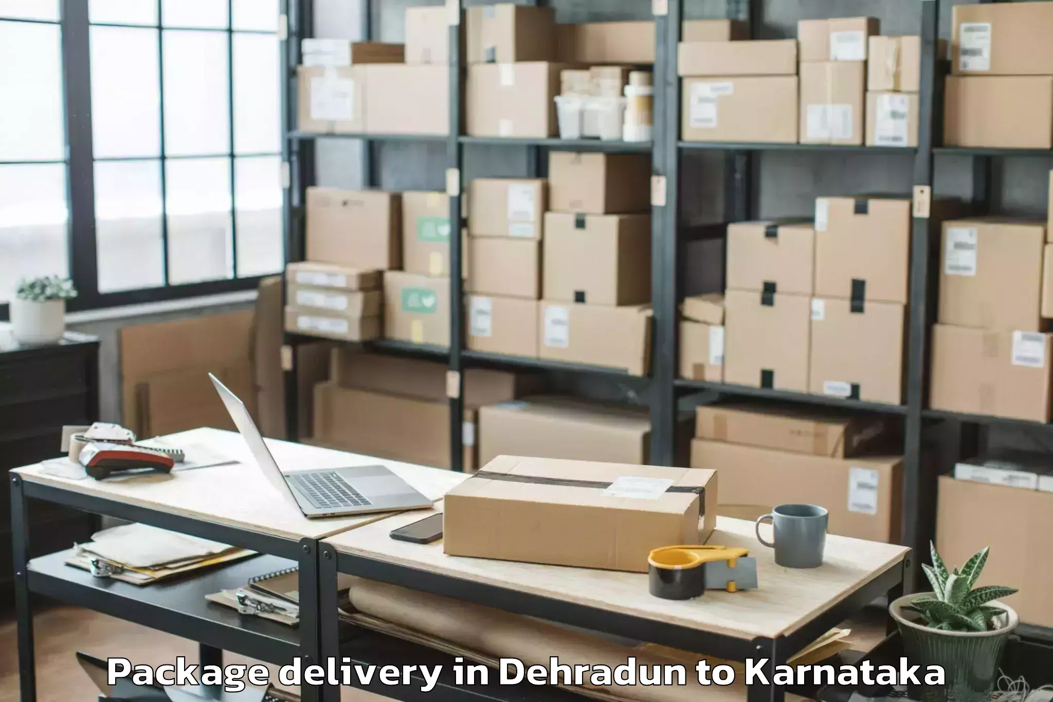 Reliable Dehradun to Harpanahalli Package Delivery